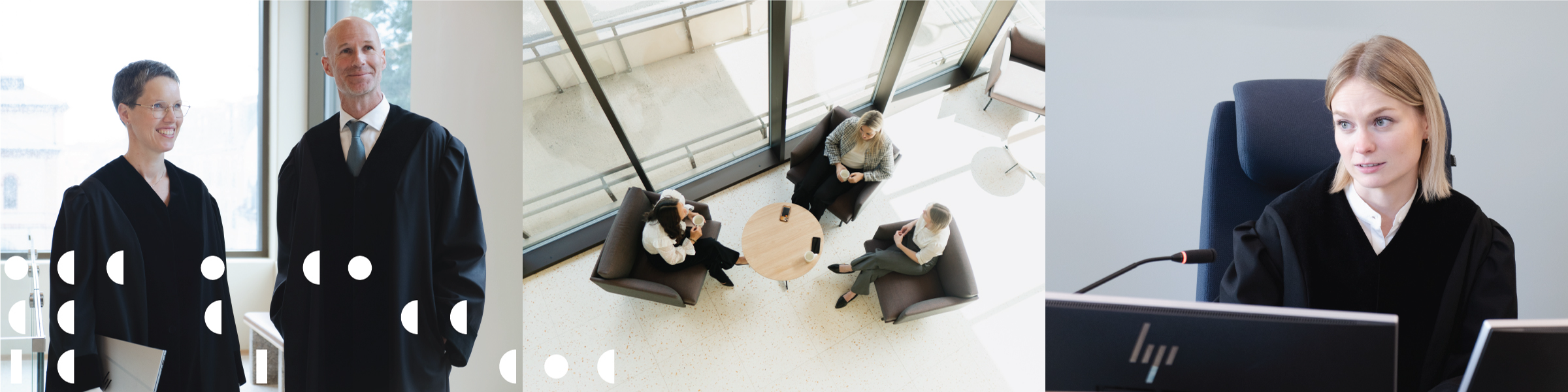 Alm domstol_generell 3