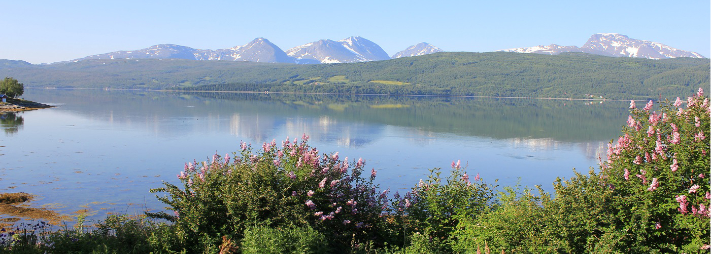 Bilde av Balsfjord-natur