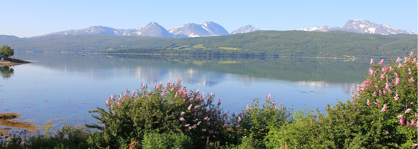 Bilde av Balsfjord