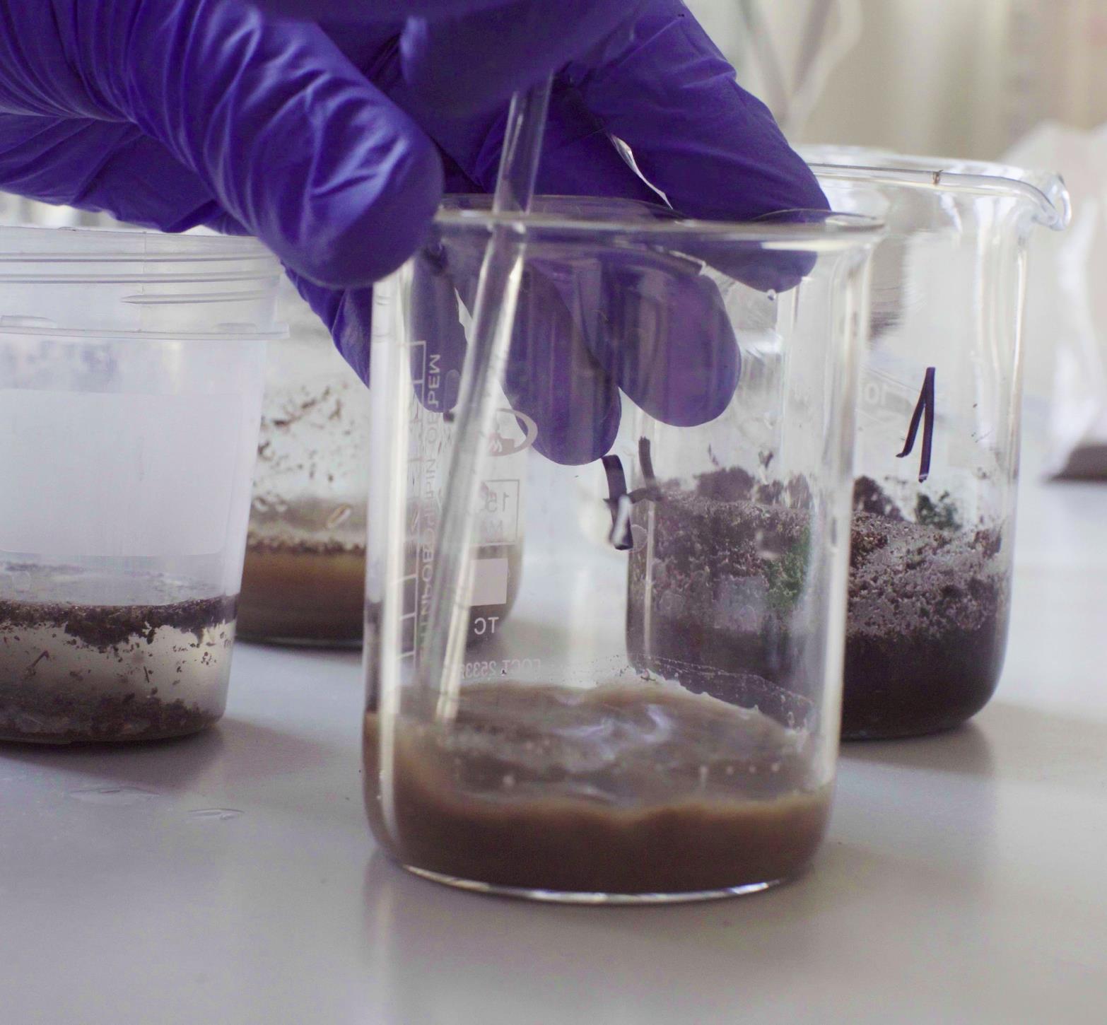 Analyse av jordprøve