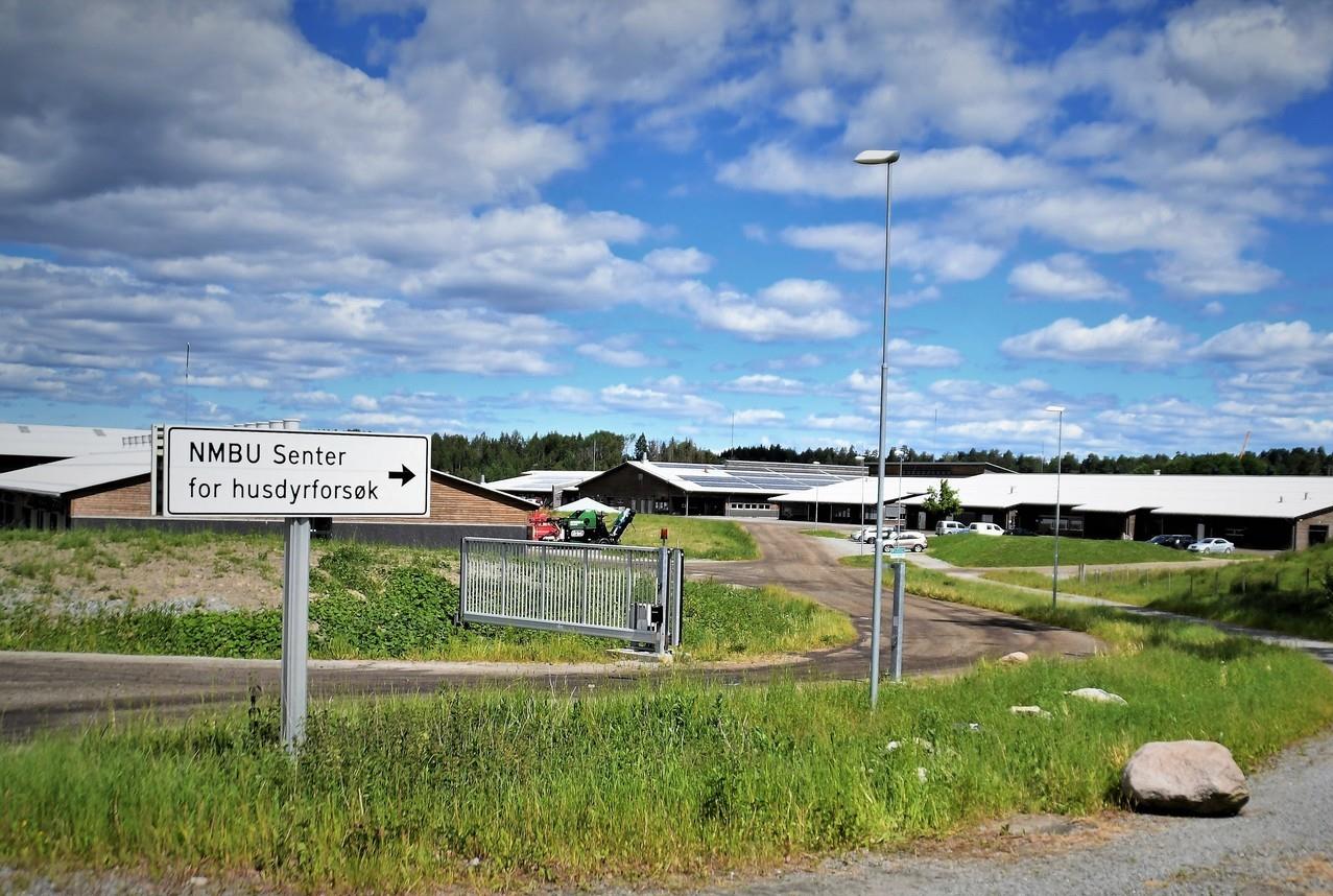 NMBU Senter for husdyrforsøk
