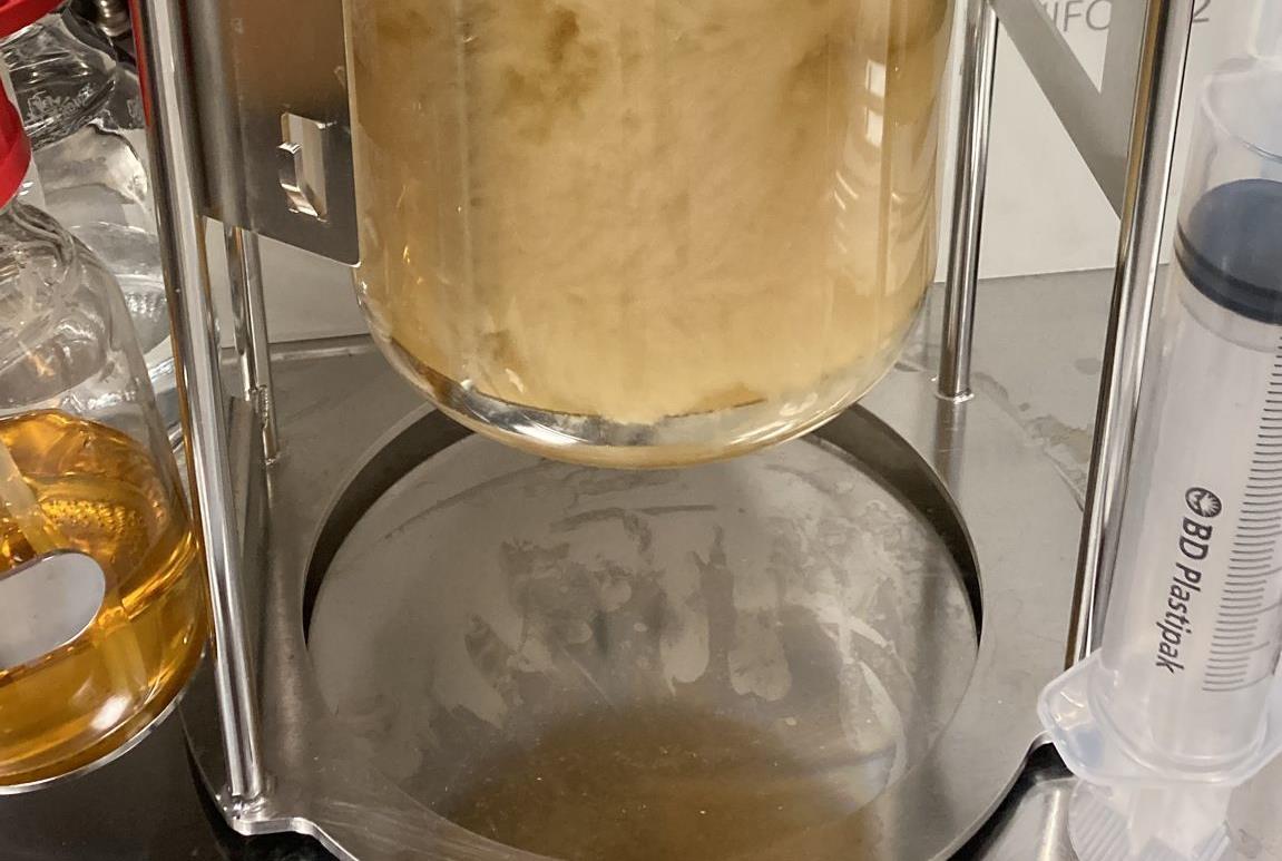 Fermentation